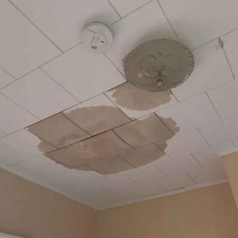 Ceiling Water Damage Repair in Empire, CA